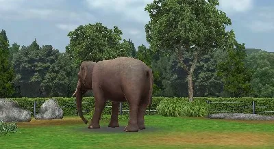 Snapshot